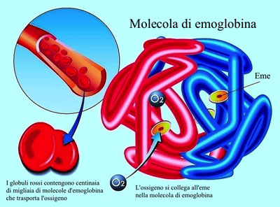 emoglobina bassa