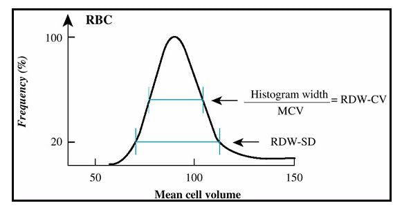 rdw-sd alto e basso